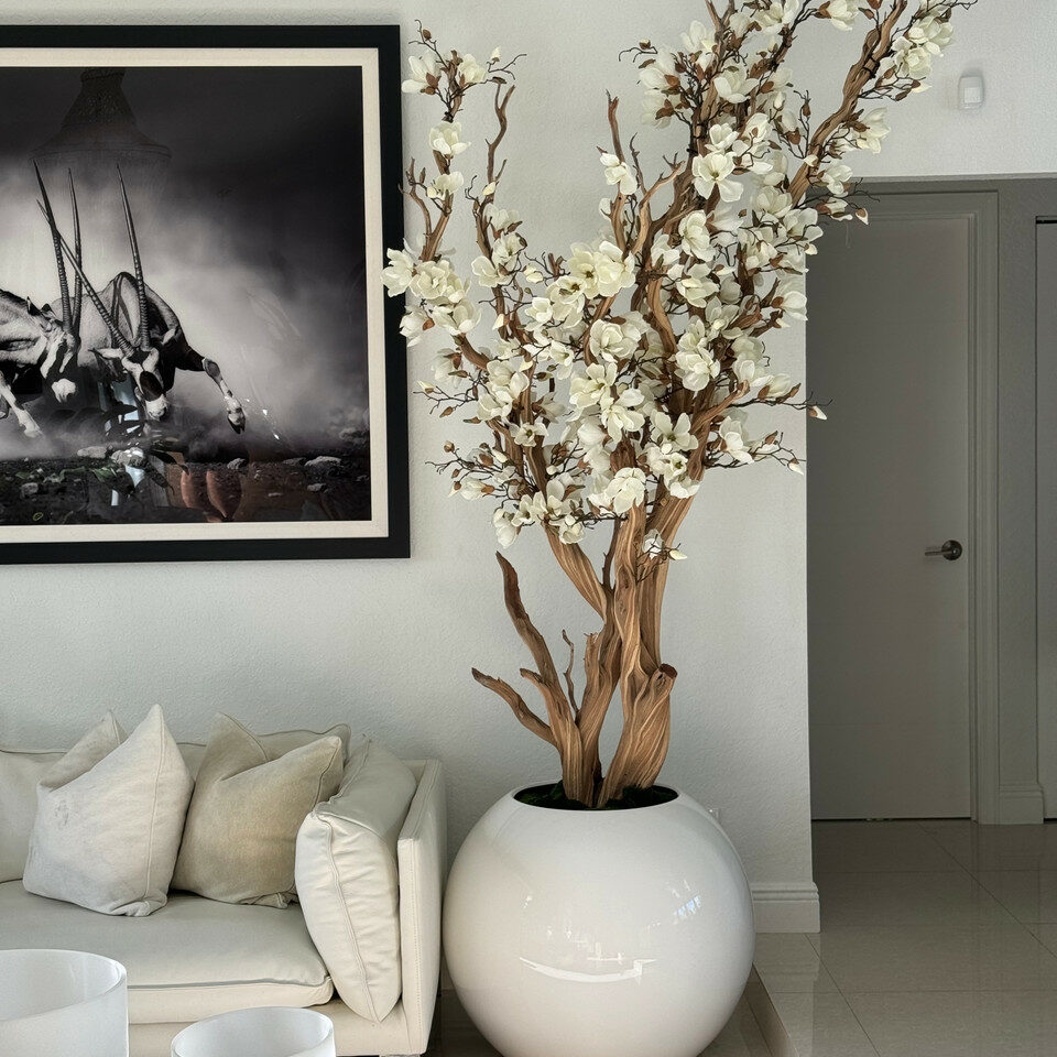 White plant