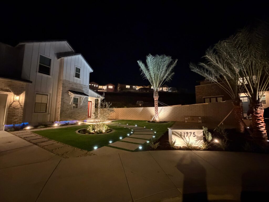 Date Palm  Landscape