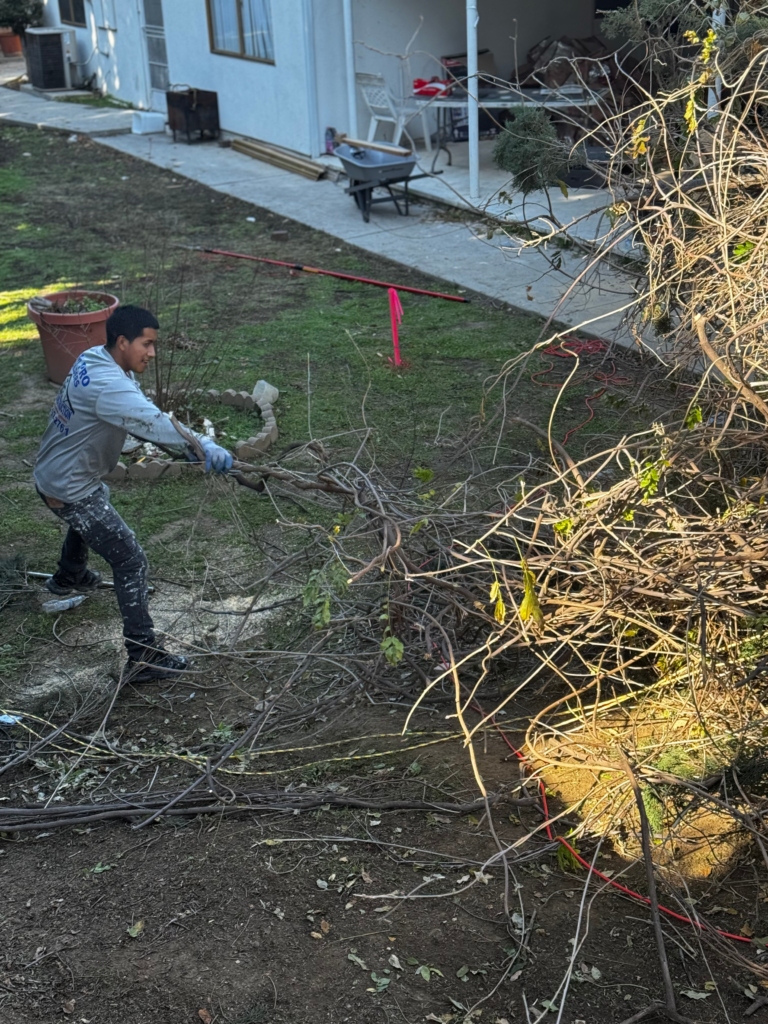 Estuardo-Cut-that-tree--Landscape.webp
