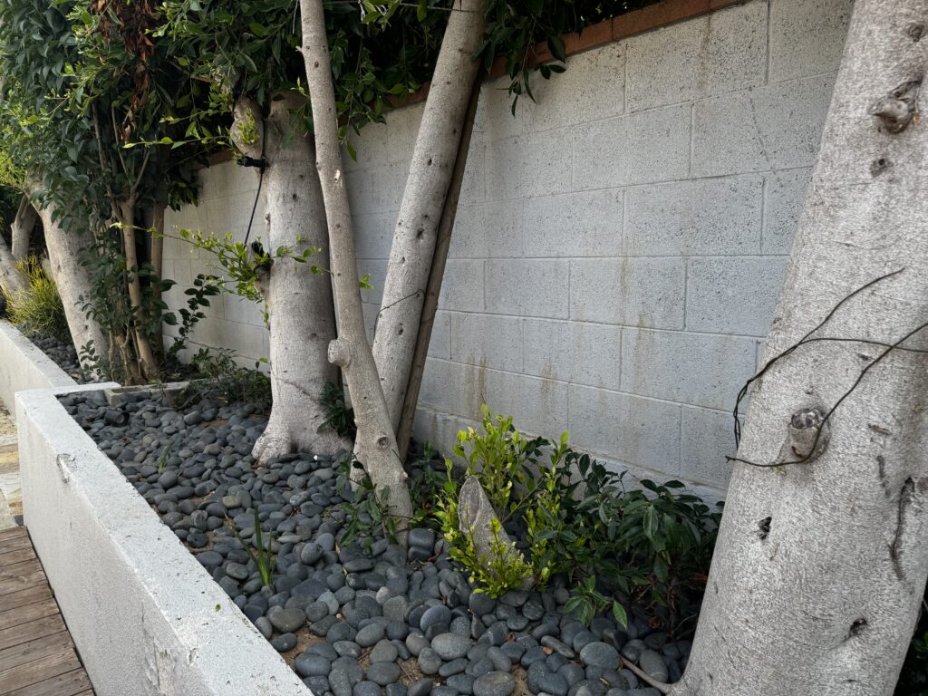 Planters  Landscape