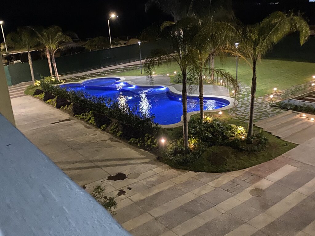 Pool and palms  Landscape